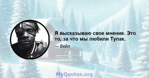 Я высказываю свое мнение. Это то, за что мы любили Тупак.