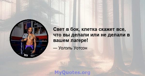 Свет в бок, клетка скажет все, что вы делали или не делали в вашем лагере!