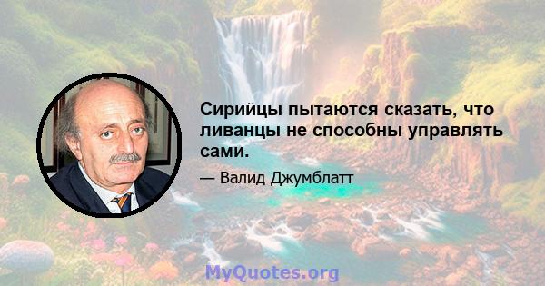 Сирийцы пытаются сказать, что ливанцы не способны управлять сами.