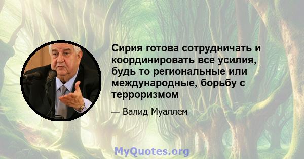 Сирия готова сотрудничать и координировать все усилия, будь то региональные или международные, борьбу с терроризмом