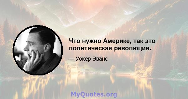 Что нужно Америке, так это политическая революция.