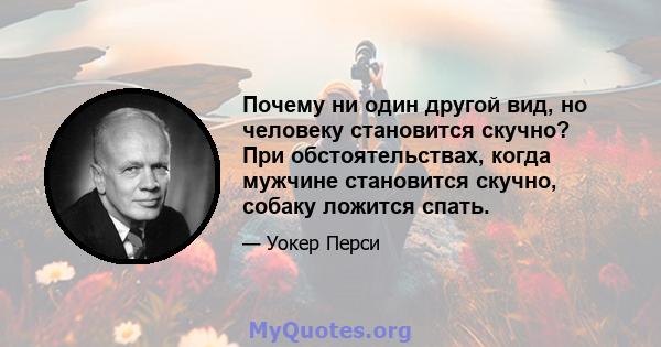 Почему ни один другой вид, но человеку становится скучно? При обстоятельствах, когда мужчине становится скучно, собаку ложится спать.