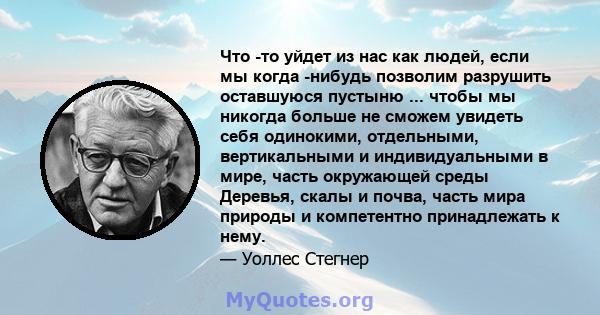 Что -то уйдет из нас как людей, если мы когда -нибудь позволим разрушить оставшуюся пустыню ... чтобы мы никогда больше не сможем увидеть себя одинокими, отдельными, вертикальными и индивидуальными в мире, часть