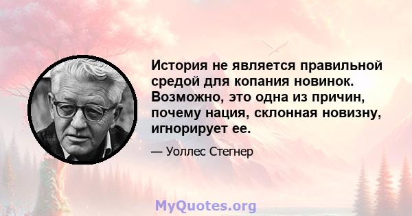 История не является правильной средой для копания новинок. Возможно, это одна из причин, почему нация, склонная новизну, игнорирует ее.