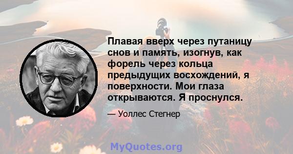 Плавая вверх через путаницу снов и память, изогнув, как форель через кольца предыдущих восхождений, я поверхности. Мои глаза открываются. Я проснулся.