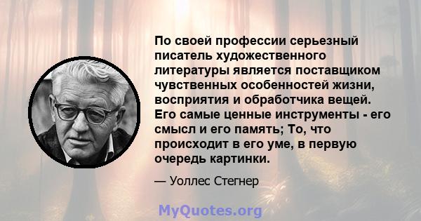 По своей профессии серьезный писатель художественного литературы является поставщиком чувственных особенностей жизни, восприятия и обработчика вещей. Его самые ценные инструменты - его смысл и его память; То, что