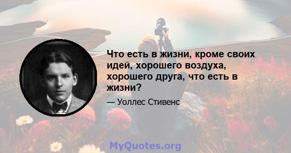 Что есть в жизни, кроме своих идей, хорошего воздуха, хорошего друга, что есть в жизни?