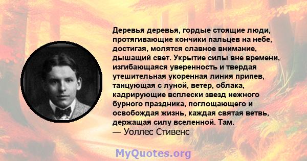 Деревья деревья, гордые стоящие люди, протягивающие кончики пальцев на небе, достигая, молятся славное внимание, дышащий свет. Укрытие силы вне времени, изгибающаяся уверенность и твердая утешительная укоренная линия