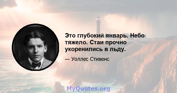 Это глубокий январь. Небо тяжело. Стаи прочно укоренились в льду.