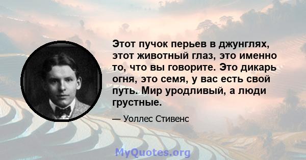 Этот пучок перьев в джунглях, этот животный глаз, это именно то, что вы говорите. Это дикарь огня, это семя, у вас есть свой путь. Мир уродливый, а люди грустные.