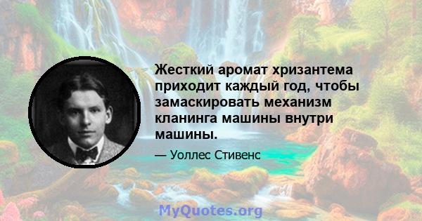 Жесткий аромат хризантема приходит каждый год, чтобы замаскировать механизм кланинга машины внутри машины.