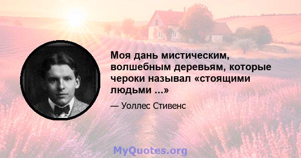 Моя дань мистическим, волшебным деревьям, которые чероки называл «стоящими людьми ...»