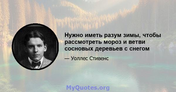 Нужно иметь разум зимы, чтобы рассмотреть мороз и ветви сосновых деревьев с снегом