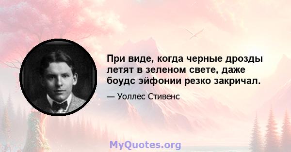 При виде, когда черные дрозды летят в зеленом свете, даже боудс эйфонии резко закричал.