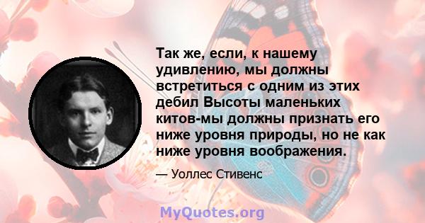 Так же, если, к нашему удивлению, мы должны встретиться с одним из этих дебил Высоты маленьких китов-мы должны признать его ниже уровня природы, но не как ниже уровня воображения.