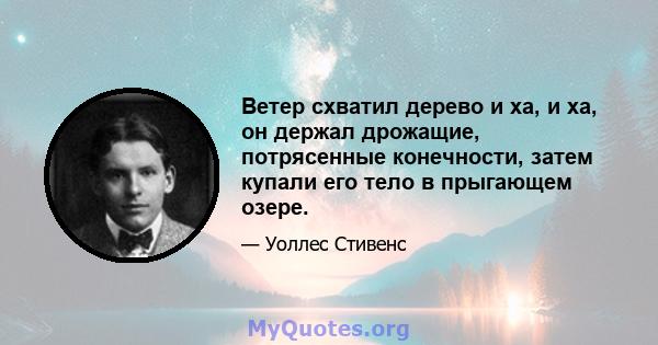 Ветер схватил дерево и ха, и ха, он держал дрожащие, потрясенные конечности, затем купали его тело в прыгающем озере.