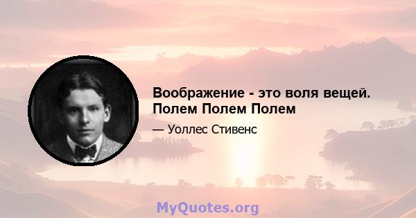 Воображение - это воля вещей. Полем Полем Полем