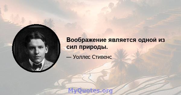 Воображение является одной из сил природы.