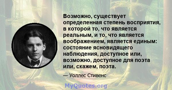 Возможно, существует определенная степень восприятия, в которой то, что является реальным, и то, что является воображением, является единым: состояние ясновидящего наблюдения, доступное или, возможно, доступное для