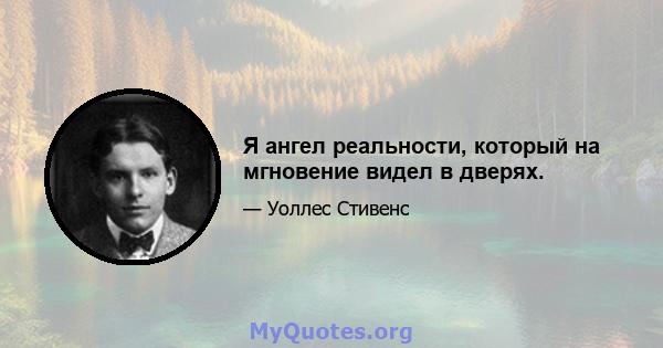 Я ангел реальности, который на мгновение видел в дверях.