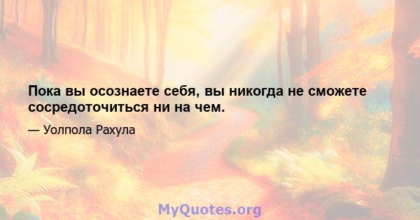 Пока вы осознаете себя, вы никогда не сможете сосредоточиться ни на чем.