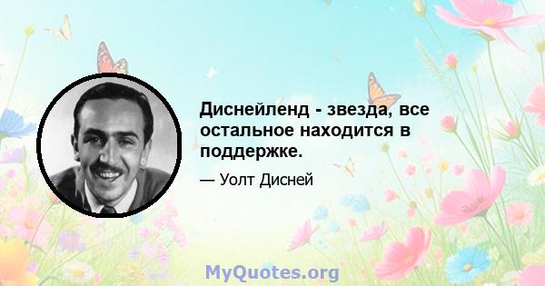 Диснейленд - звезда, все остальное находится в поддержке.