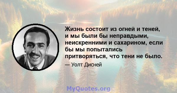 Жизнь состоит из огней и теней, и мы были бы неправдыми, неискренними и сахарином, если бы мы попытались притворяться, что тени не было.