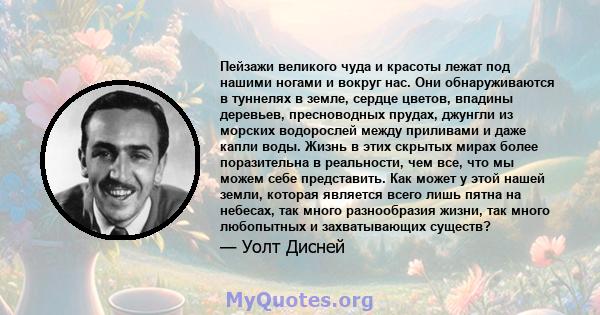 Пейзажи великого чуда и красоты лежат под нашими ногами и вокруг нас. Они обнаруживаются в туннелях в земле, сердце цветов, впадины деревьев, пресноводных прудах, джунгли из морских водорослей между приливами и даже