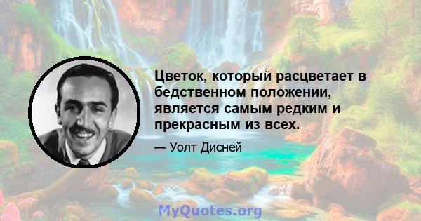 Цветок, который расцветает в бедственном положении, является самым редким и прекрасным из всех.