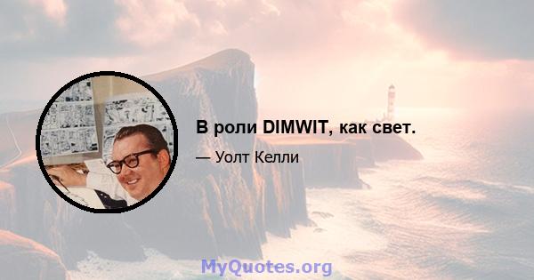 В роли DIMWIT, как свет.