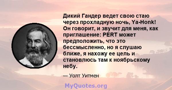 Дикий Гандер ведет свою стаю через прохладную ночь, Ya-Honk! Он говорит, и звучит для меня, как приглашение: PERT может предположить, что это бессмысленно, но я слушаю ближе, я нахожу ее цель и становлюсь там к