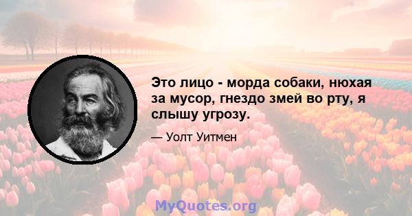 Это лицо - морда собаки, нюхая за мусор, гнездо змей во рту, я слышу угрозу.