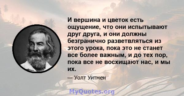 И вершина и цветок есть ощущение, что они испытывают друг друга, и они должны безгранично разветвляться из этого урока, пока это не станет все более важным, и до тех пор, пока все не восхищают нас, и мы их.