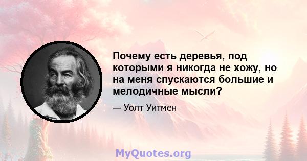 Почему есть деревья, под которыми я никогда не хожу, но на меня спускаются большие и мелодичные мысли?