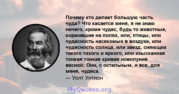 Почему кто делает большую часть чуда? Что касается меня, я не знаю ничего, кроме чудес, будь то животные, кормившие на полях, или, птицы, или чудесность насекомых в воздухе, или чудесность солнца, или звезд, сияющих