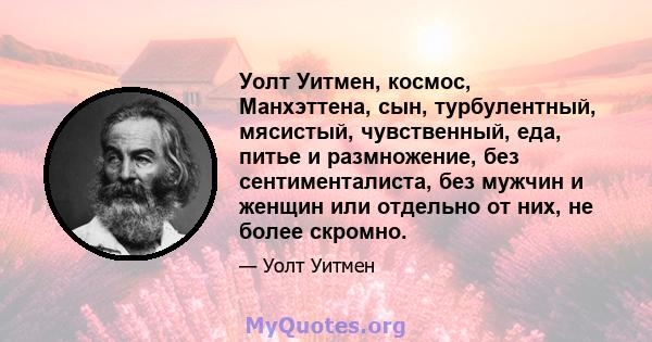 Уолт Уитмен, космос, Манхэттена, сын, турбулентный, мясистый, чувственный, еда, питье и размножение, без сентименталиста, без мужчин и женщин или отдельно от них, не более скромно.