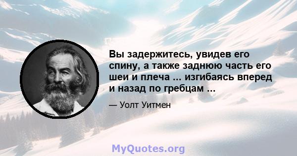 Вы задержитесь, увидев его спину, а также заднюю часть его шеи и плеча ... изгибаясь вперед и назад по гребцам ...