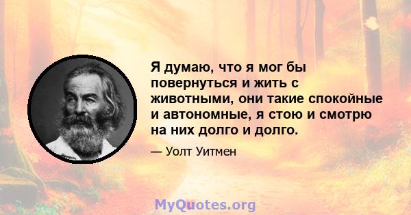 Я думаю, что я мог бы повернуться и жить с животными, они такие спокойные и автономные, я стою и смотрю на них долго и долго.