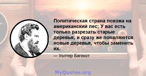 Политическая страна похожа на американский лес; У вас есть только разрезать старые деревья, и сразу же появляются новые деревья, чтобы заменить их.