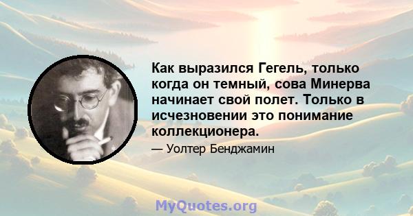 Как выразился Гегель, только когда он темный, сова Минерва начинает свой полет. Только в исчезновении это понимание коллекционера.