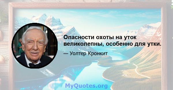 Опасности охоты на уток великолепны, особенно для утки.