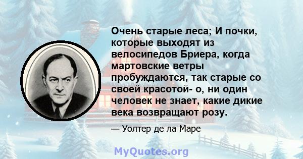 Очень старые леса; И почки, которые выходят из велосипедов Бриера, когда мартовские ветры пробуждаются, так старые со своей красотой- о, ни один человек не знает, какие дикие века возвращают розу.