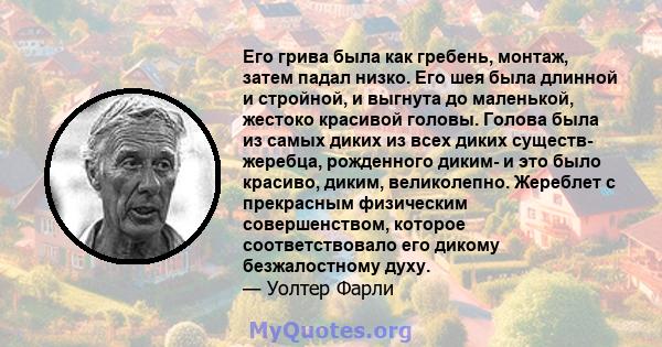 Его грива была как гребень, монтаж, затем падал низко. Его шея была длинной и стройной, и выгнута до маленькой, жестоко красивой головы. Голова была из самых диких из всех диких существ- жеребца, рожденного диким- и это 