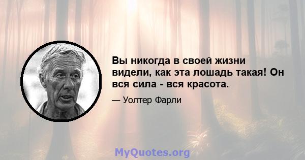 Вы никогда в своей жизни видели, как эта лошадь такая! Он вся сила - вся красота.