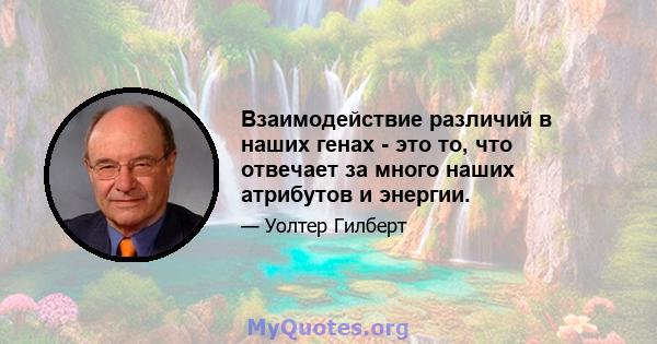 Взаимодействие различий в наших генах - это то, что отвечает за много наших атрибутов и энергии.