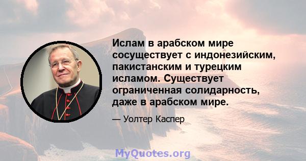 Ислам в арабском мире сосуществует с индонезийским, пакистанским и турецким исламом. Существует ограниченная солидарность, даже в арабском мире.