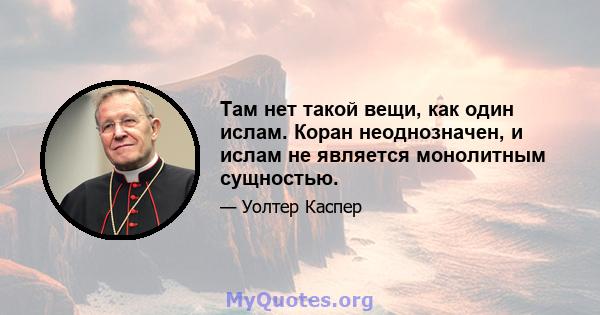 Там нет такой вещи, как один ислам. Коран неоднозначен, и ислам не является монолитным сущностью.