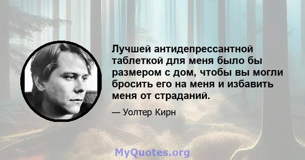 Лучшей антидепрессантной таблеткой для меня было бы размером с дом, чтобы вы могли бросить его на меня и избавить меня от страданий.