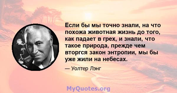 Если бы мы точно знали, на что похожа животная жизнь до того, как падает в грех, и знали, что такое природа, прежде чем вторгся закон энтропии, мы бы уже жили на небесах.