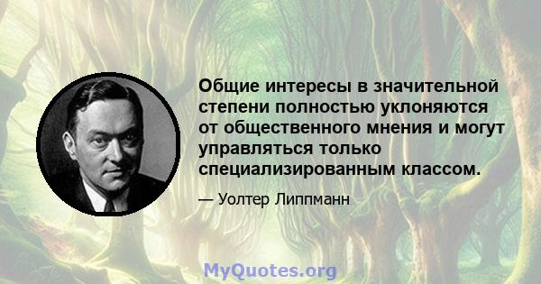 Общие интересы в значительной степени полностью уклоняются от общественного мнения и могут управляться только специализированным классом.